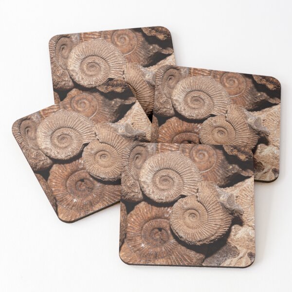 Item preview, Ammonites of the species Dactylioceras athleticum from the Lower Jurassic designed and sold by Zosimus.
