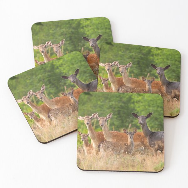 Item preview, Fallow Deers designed and sold by Lyndonsnature.