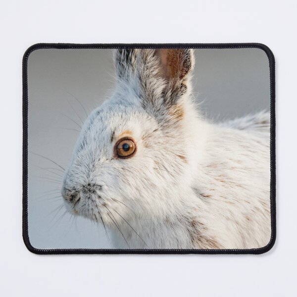 Item preview, Snowshoe Hare designed and sold by Michael Cummings.