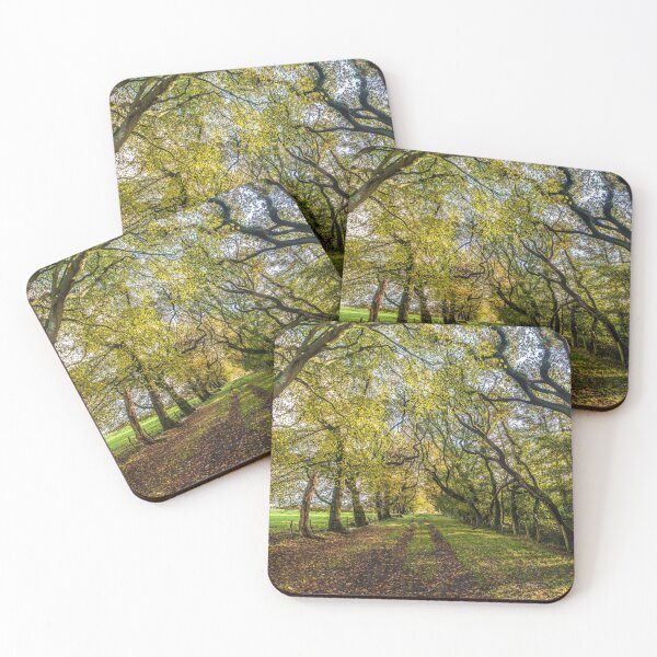 Item preview, Lawr y Lon Goed | Down The Wooded Road designed and sold by LluniauDafyddEm.