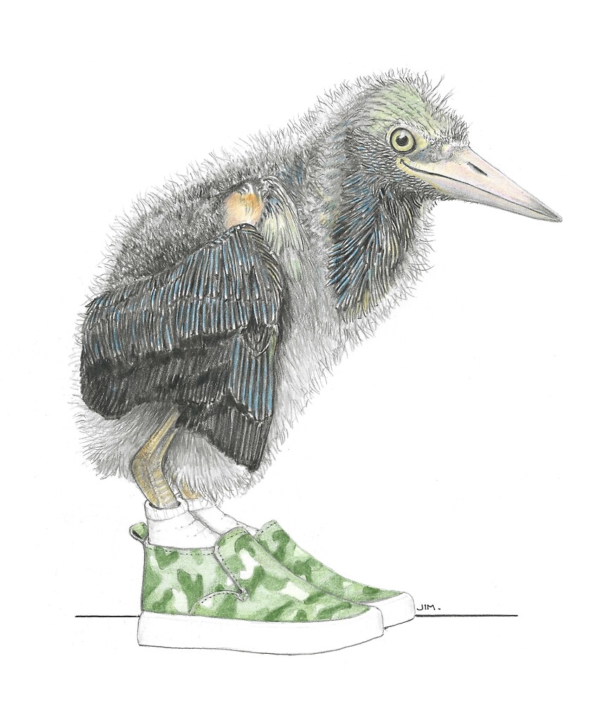 Juvenile Green Heron in Camo Sneakers by JimsBirds