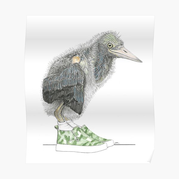 Juvenile Green Heron in Camo Sneakers Poster