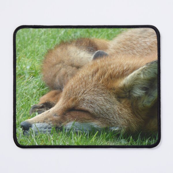 Item preview, Sleeping Fox designed and sold by MotorNation.net.