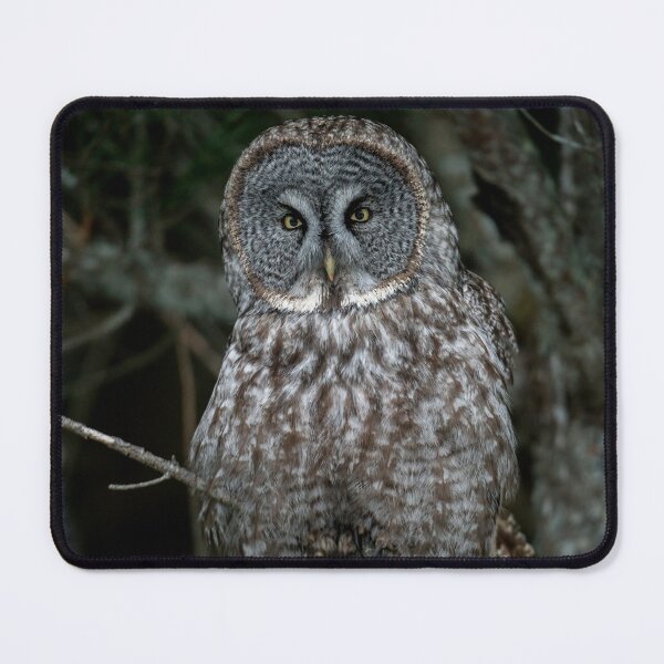 Item preview, Great Gray Owl designed and sold by Michael Cummings.