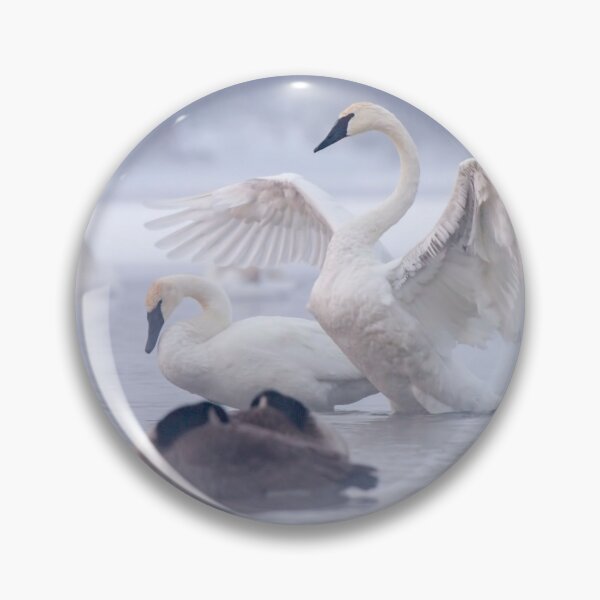 Item preview, Trumpeter Swans in the mist. designed and sold by Michael Cummings.