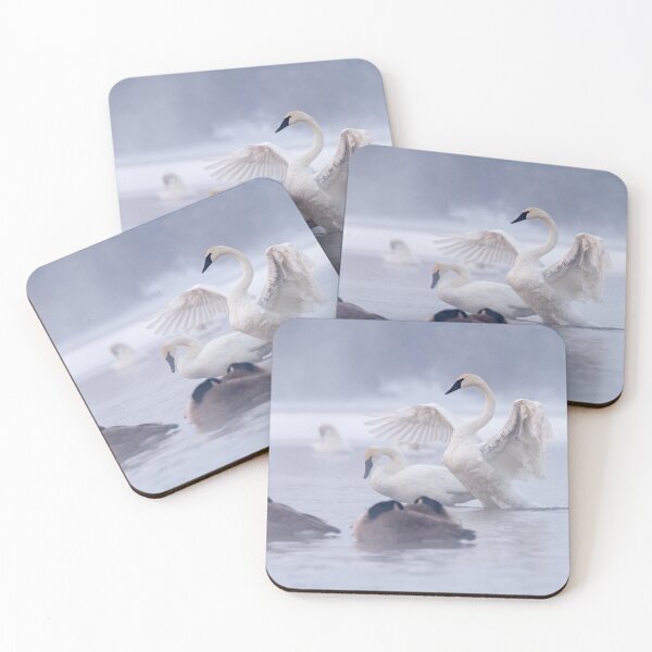 Item preview, Trumpeter Swans in the mist. designed and sold by Michael Cummings.