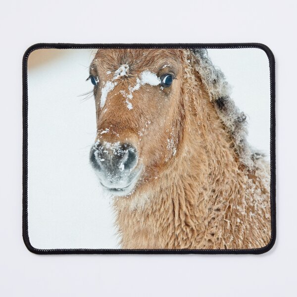 Item preview, Colt In Snow designed and sold by Michael Cummings.