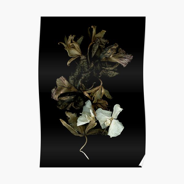 Orchid Float Dark Floral Poster