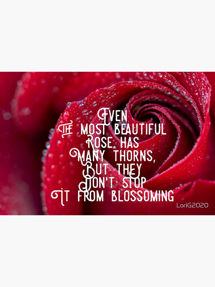 "Even the most beautiful rose has many thorns, but they don't stop it