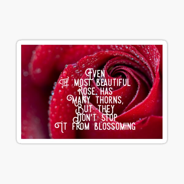"Even the most beautiful rose has many thorns, but they don't stop it
