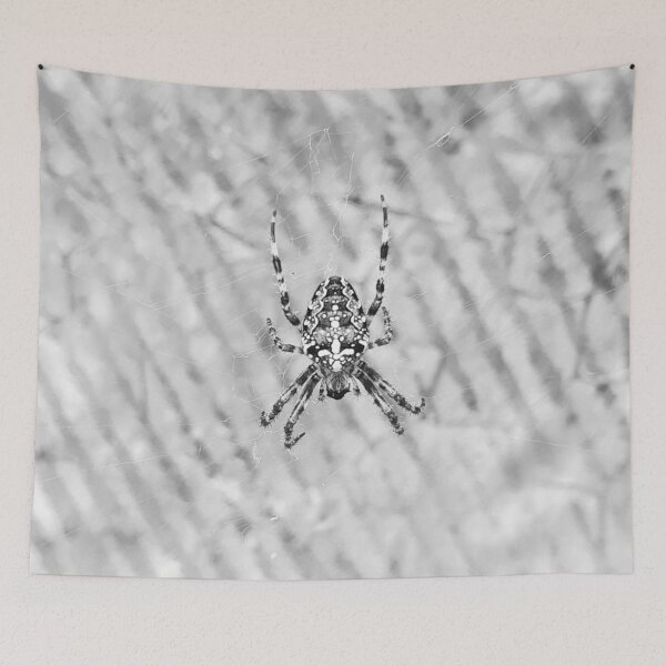 Item preview, Spider designed and sold by Kate-P-.