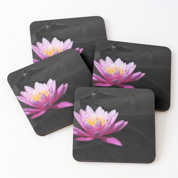 Item preview, Water Lily #1 designed and sold by Jennifer Hulbert-Hortman.
