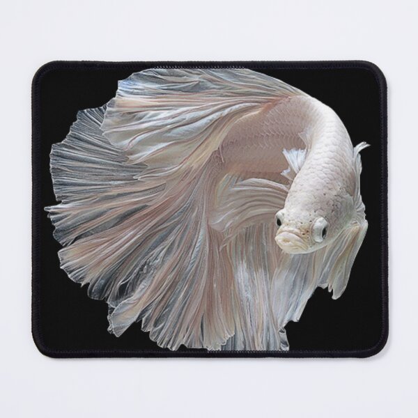 Item preview, Betta designed and sold by letayl3.