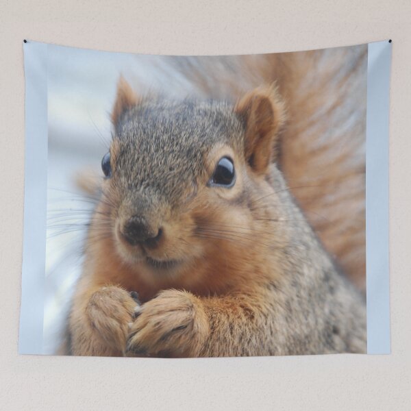 Item preview, FOX SQUIRREL GREETING C2021 Steve Yellowbear Fine Art designed and sold by SteveYellowbear.