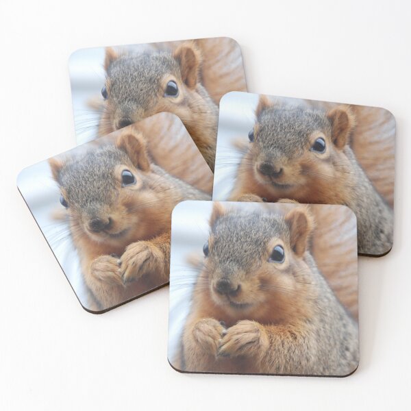 Item preview, FOX SQUIRREL GREETING C2021 Steve Yellowbear Fine Art designed and sold by SteveYellowbear.