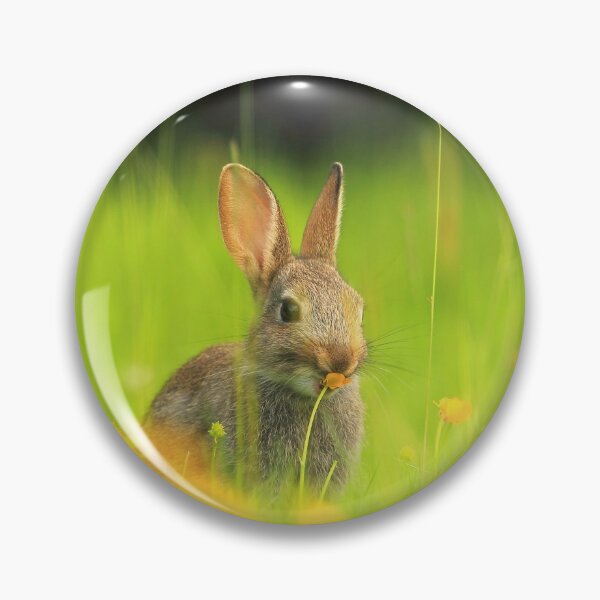 Item preview, Rabbit in Buttercups designed and sold by Lyndonsnature.
