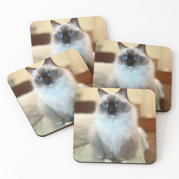 Item preview, Ragdoll Cat designed and sold by Sara Hargis.