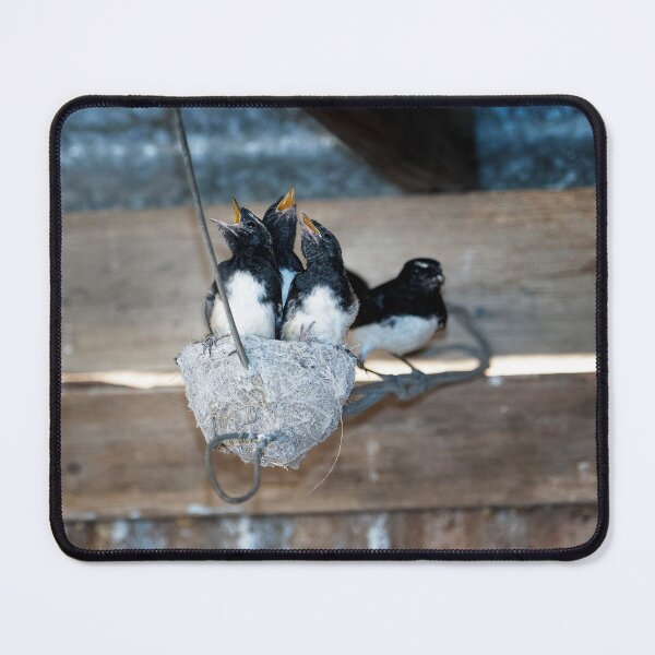 Item preview, Willie Wagtails designed and sold by Bevlyn.