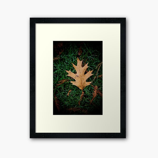 Autumn Maple Leaf - By Brian Vegas Framed Art Print