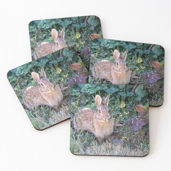 Item preview, Eastern Cottontail Bunny Rabbit in Autumn designed and sold by JariHawk.