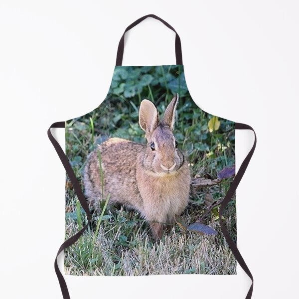 Item preview, Eastern Cottontail Bunny Rabbit in Autumn designed and sold by JariHawk.