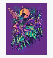 Purple Garden Photographic Print