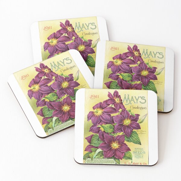 Item preview, LL May & Co Minnehaha Clematis Illustration designed and sold by VintageAndy.