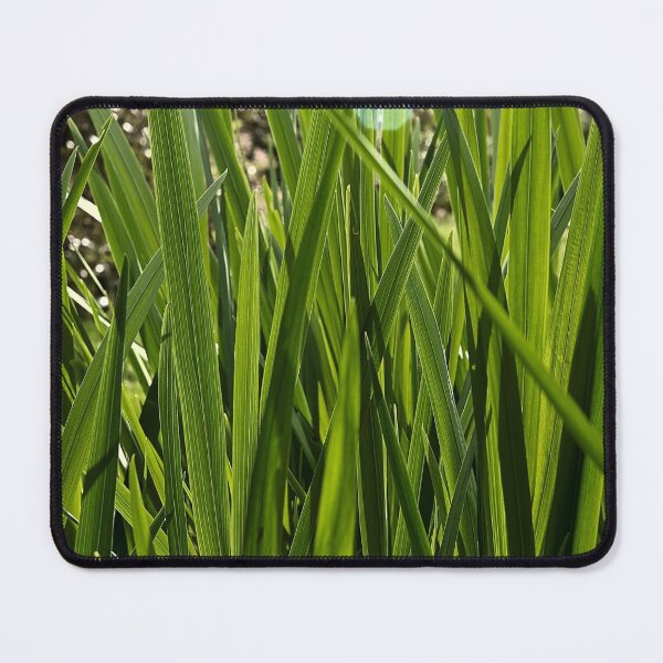 Item preview, Grass growing designed and sold by Javier Narváez Solarte.