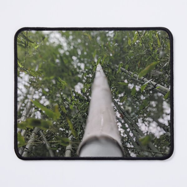 Item preview, Looking up Bamboo Photographic Image designed and sold by AustaArt.
