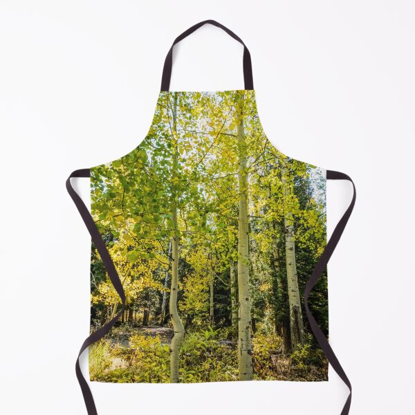 Item preview, Aspen Trees in the Fall designed and sold by MissJades.