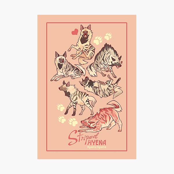 Striped hyena sticker and goodies pack Photographic Print