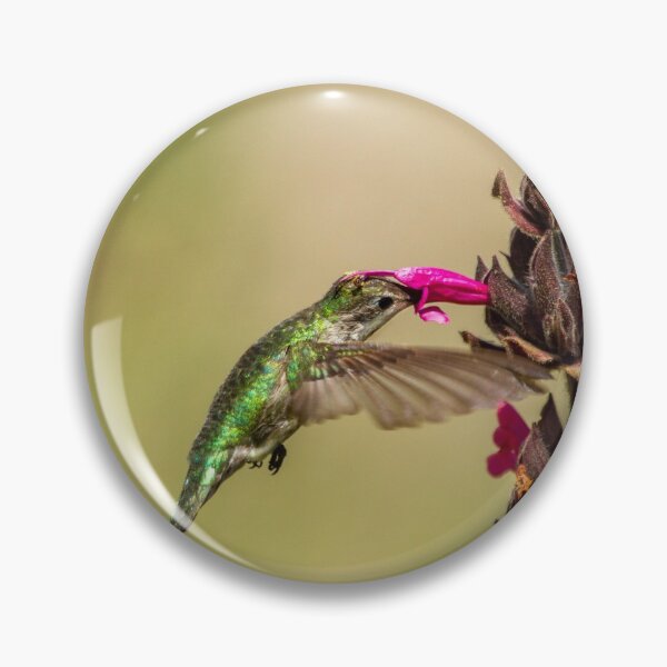 Artikelvorschau, Pollen Rub to the Head of a Beautiful Hummingbird entworfen und verkauft von PsychoAlien.com.