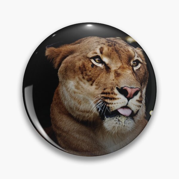 Item preview, Lioness -- I'm not working  designed and sold by Spasija.
