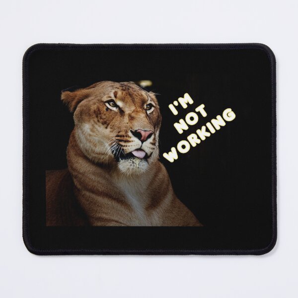 Item preview, Lioness -- I'm not working  designed and sold by Spasija.