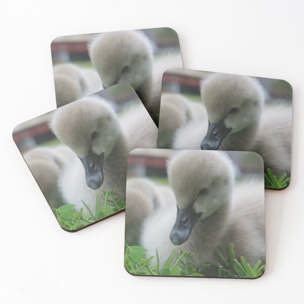 Item preview, Sweet Cygnets designed and sold by HeidiSelkie.