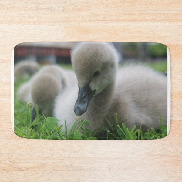 Item preview, Sweet Cygnets designed and sold by HeidiSelkie.
