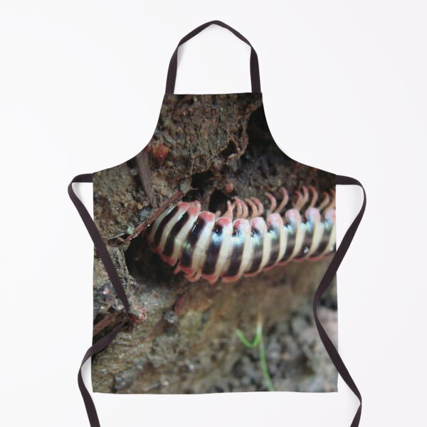 Item preview, Hold on, I'm goin' in! designed and sold by Jean Gregory Evans.