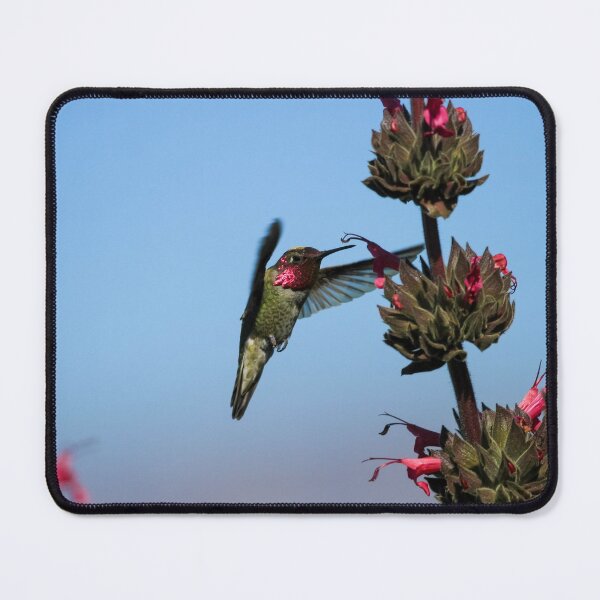 Item preview, Fuschia Hummingbird Blending In designed and sold by PsychoAlien.com.