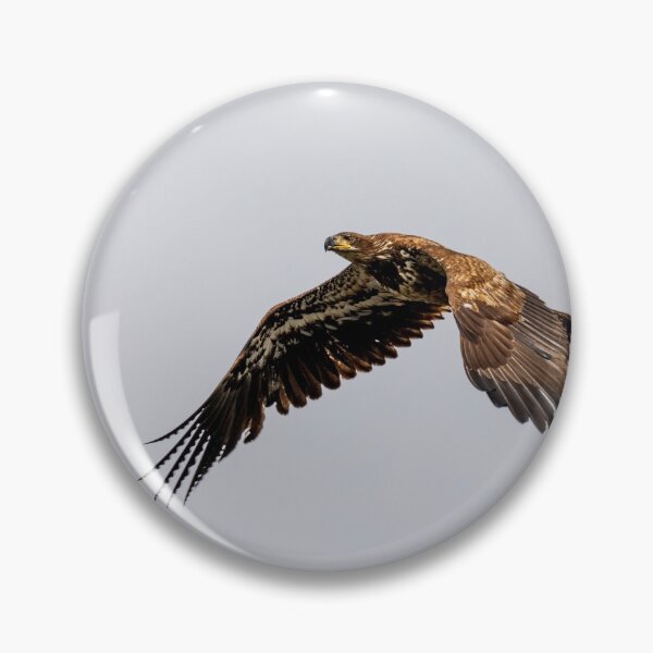 Item preview, Juvenile Bald Eagle Flying High designed and sold by PsychoAlien.com.