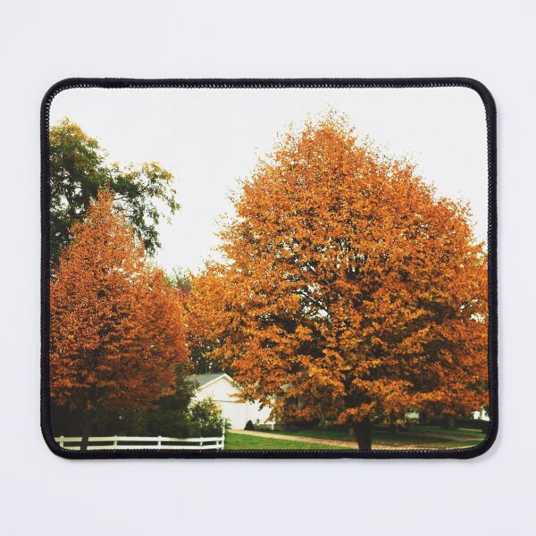 Item preview, AUTUMN TWINS IN OHIO U.S.A. designed and sold by JoAnnHayden.