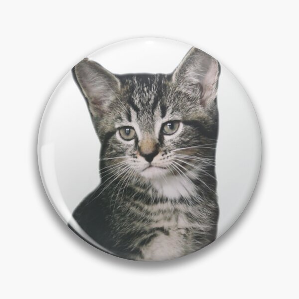 Item preview, Baby Kitty   Cat -- Who's the boss,  hmmm designed and sold by Spasija.