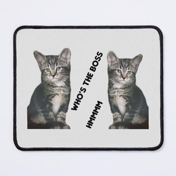 Item preview, Baby Kitty Cat -- Who's the boss, hmmm designed and sold by Spasija.