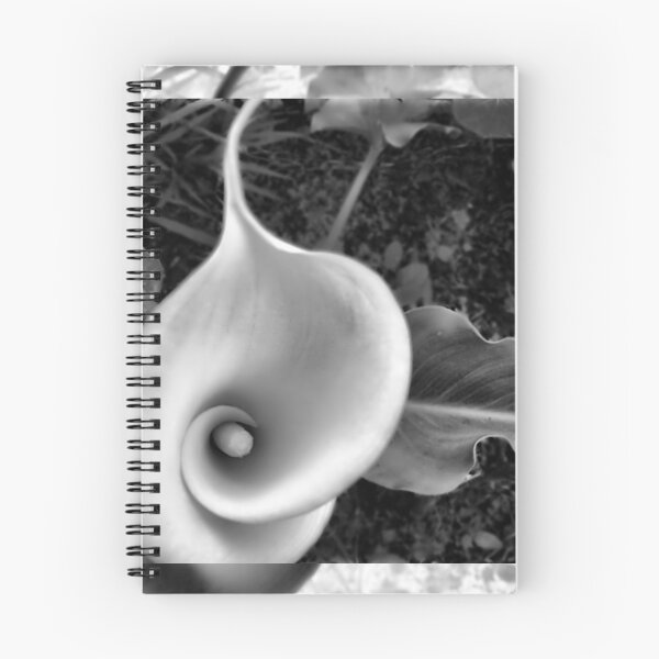Item preview, Arum desaturated. designed and sold by LMHaselden.