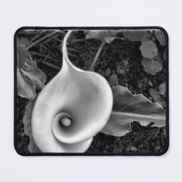 Item preview, Arum desaturated. designed and sold by LMHaselden.