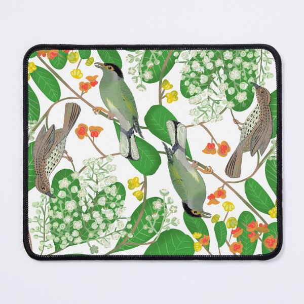 Item preview, Tuckeroo and olive backed oriole designed and sold by Nat Herington.