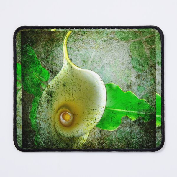 Item preview, Arum lily. designed and sold by LMHaselden.