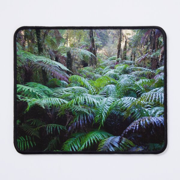 Item preview, New Zealand ferns designed and sold by Jenny Setchell.