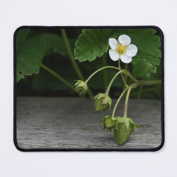 Item preview, Hidden berry designed and sold by PoetInADaydream.