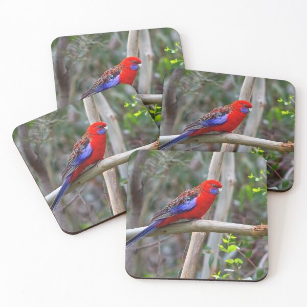 Item preview, Crimson Rosella designed and sold by Stephen Ruane.