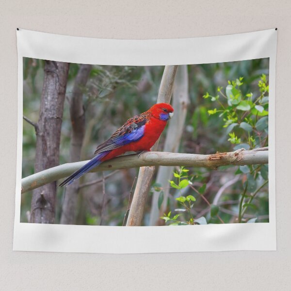 Item preview, Crimson Rosella designed and sold by Stephen Ruane.